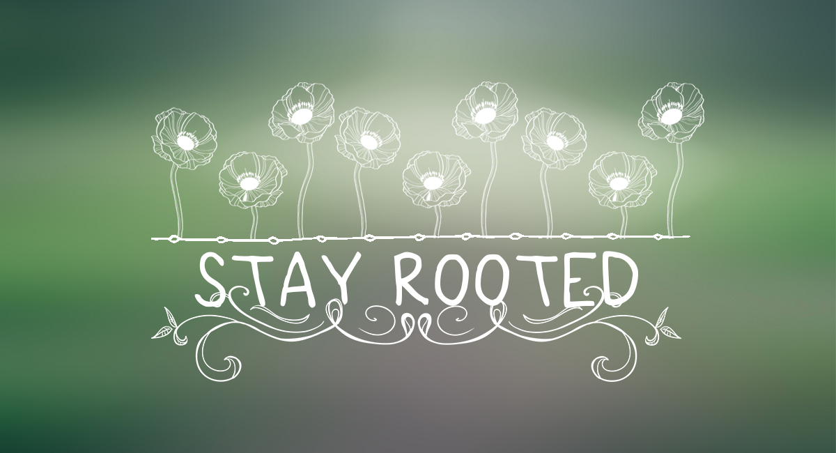 Stay Rooted