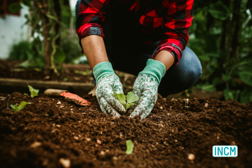 man planting in a garden